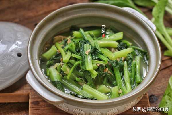 广东潮汕人说的春菜是什么菜?春菜别名是什么