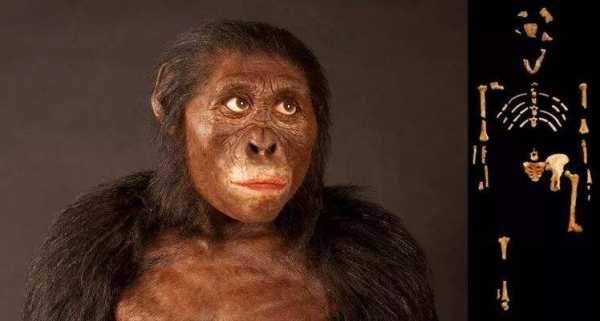 人类起源非洲被证实了吗?人类起源非洲骗局