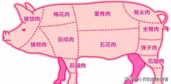 猪铮肉是什么意思?是猪身上的哪个部位