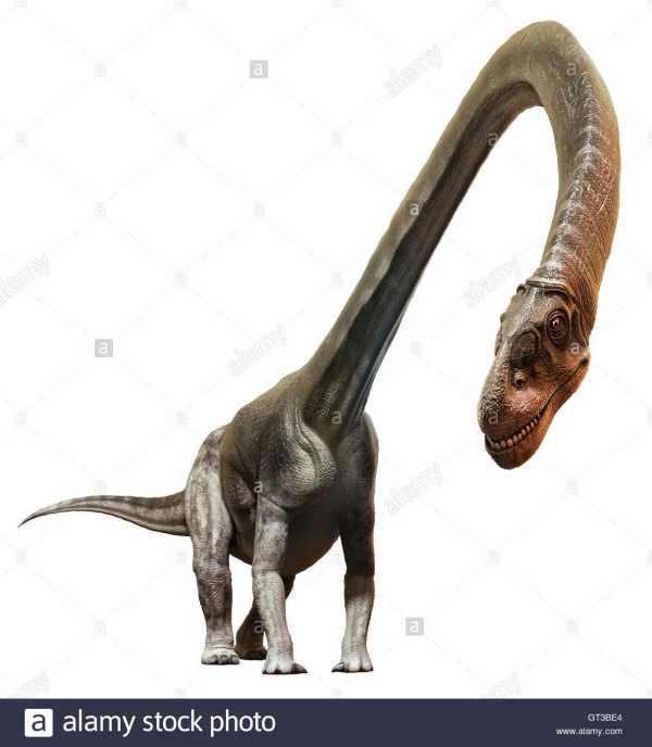 哪种恐龙的脖子最长?科学家在中国发现脖子最长恐龙