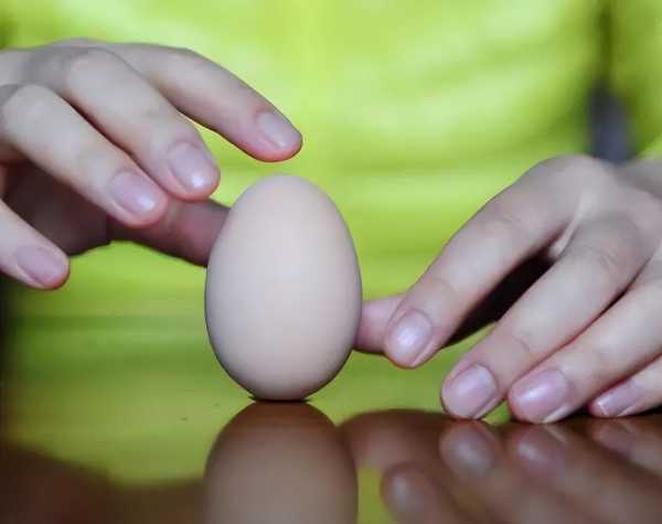春分立蛋是什么意思?听说春分立鸡蛋成功率高