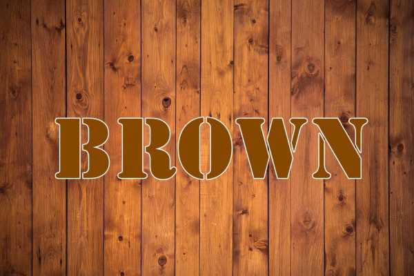 brown是什么颜色（brown中文什么意思）