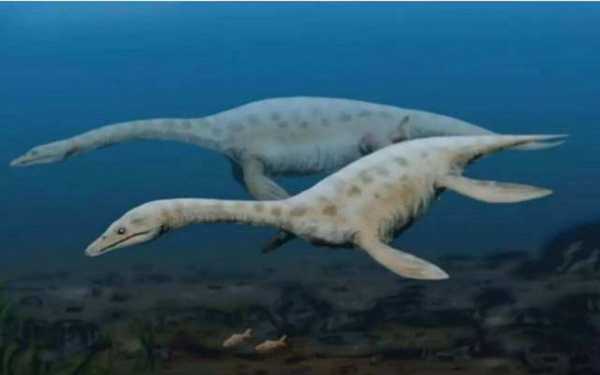 尼斯湖水怪真的存在吗?尼斯湖水怪是蛇颈龙吗