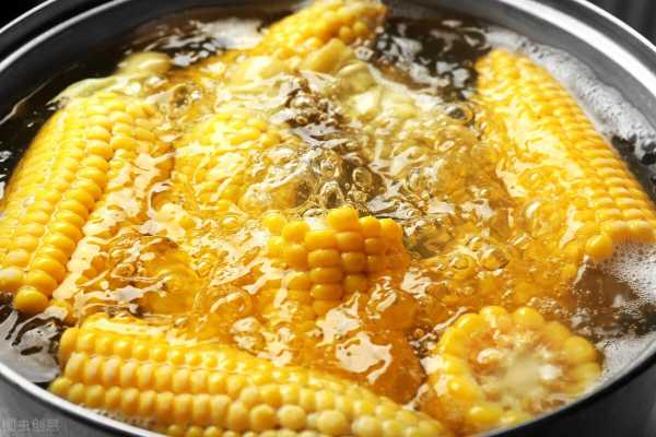 煮玉米是冷水下锅还是热水下锅?煮多久