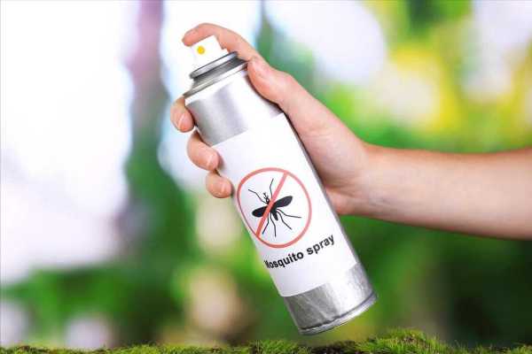 蚊子最怕什么味道?如何驱蚊子最有效的方法