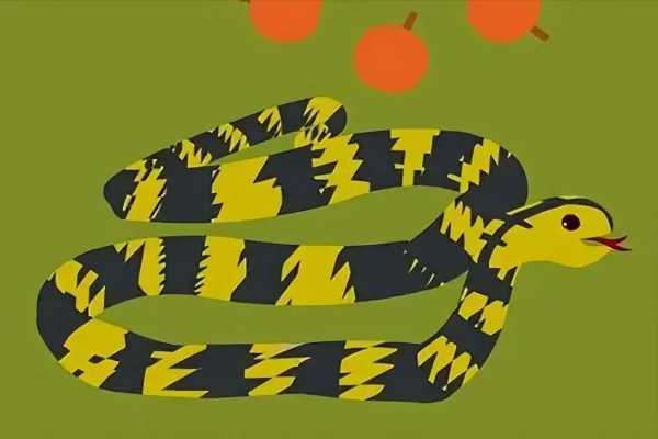 菜花蛇就是大王蛇吗?大王蛇跟菜花蛇有什么区别