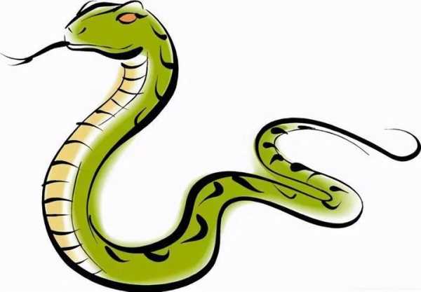 菜花蛇就是大王蛇吗?大王蛇跟菜花蛇有什么区别
