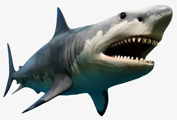 巨齿鲨能咬烂航母吗?巨齿鲨打得过虎鲸吗