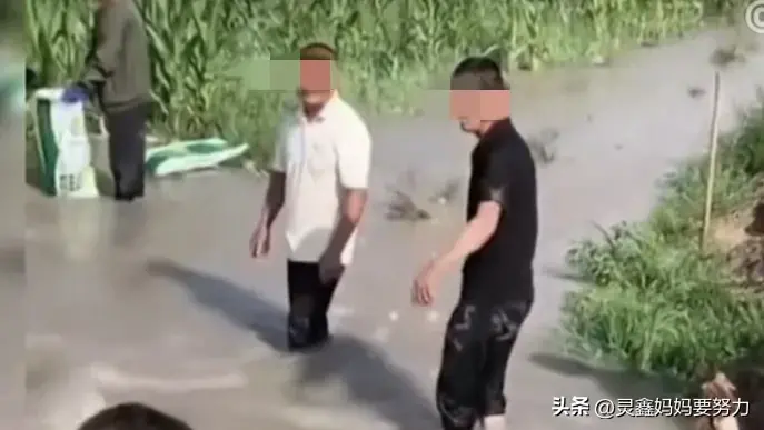两男子挖堤坝灌溉玉米地瞬间被淹