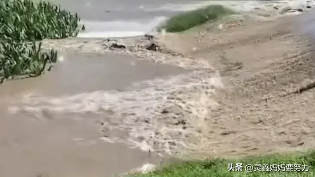 两男子挖堤坝灌溉玉米地瞬间被淹
