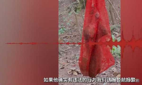 黔灵山公园猕猴被装袋挂树上!公园方回应