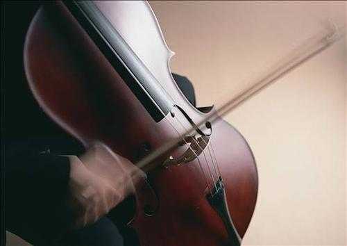 大提琴有几根弦（大提琴琴码哪边高）