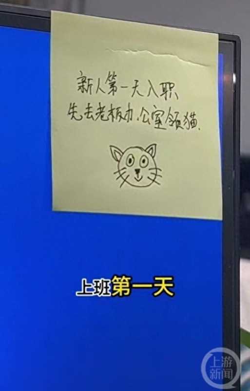 重庆一公司回应新员工可领猫是宣传短视频