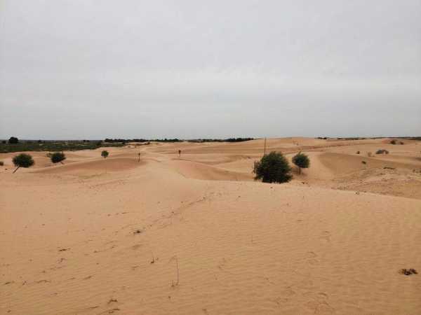 中国沙漠在缩小还是扩大?即将消失的沙漠