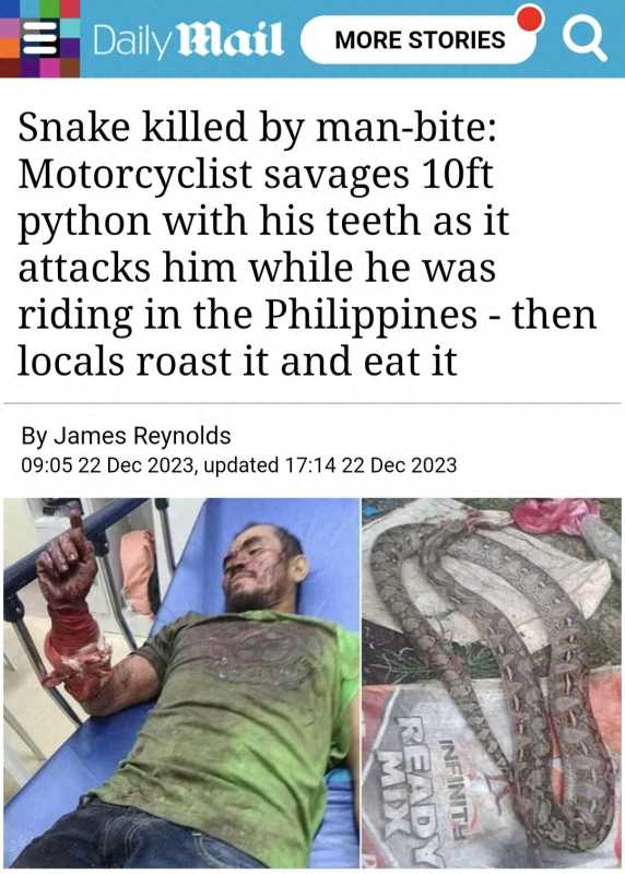 菲律宾男子遭巨蟒缠身 狠咬蛇脖自救